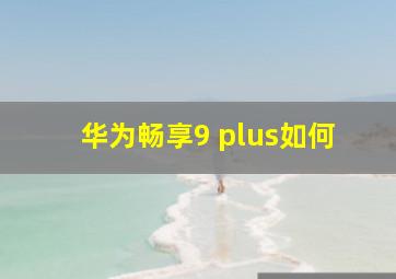 华为畅享9 plus如何